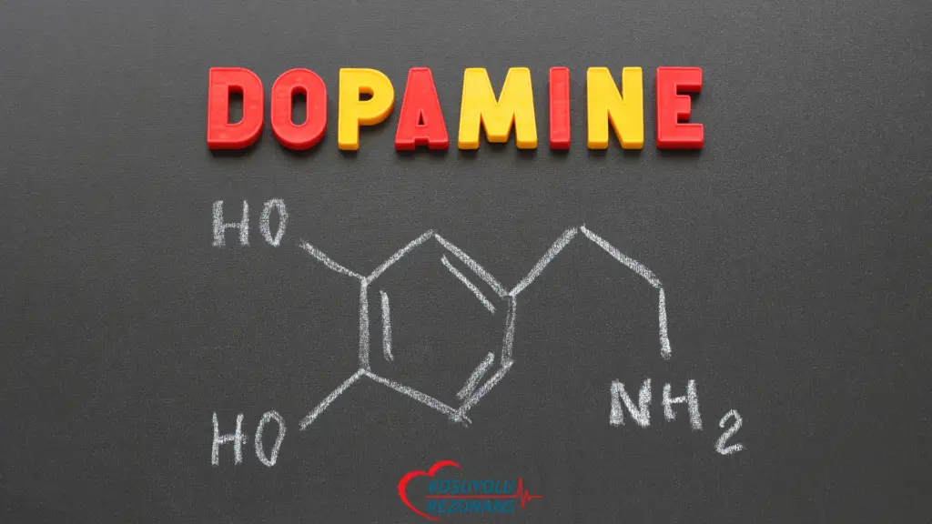 Dopamin Nedir? Ne İşe Yarar?